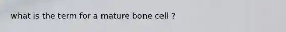 what is the term for a mature bone cell ?