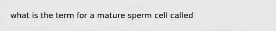 what is the term for a mature sperm cell called