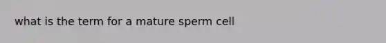 what is the term for a mature sperm cell