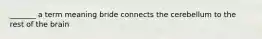 _______ a term meaning bride connects the cerebellum to the rest of the brain