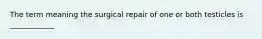 The term meaning the surgical repair of one or both testicles is ____________