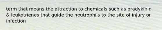 term that means the attraction to chemicals such as bradykinin & leukotrienes that guide the neutrophils to the site of injury or infection