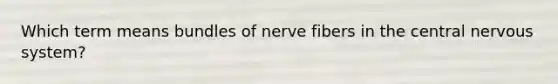 Which term means bundles of nerve fibers in the central nervous system?