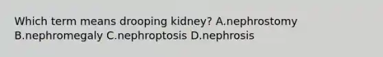 Which term means drooping kidney? A.nephrostomy B.nephromegaly C.nephroptosis D.nephrosis