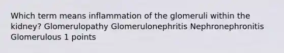 Which term means inflammation of the glomeruli within the kidney? Glomerulopathy Glomerulonephritis Nephronephronitis Glomerulous 1 points