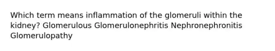 Which term means inflammation of the glomeruli within the kidney? Glomerulous Glomerulonephritis Nephronephronitis Glomerulopathy