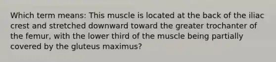 Which term means: This muscle is located at the back of the iliac crest and stretched downward toward the greater trochanter of the femur, with the lower third of the muscle being partially covered by the gluteus maximus?