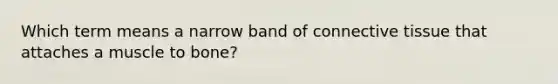 Which term means a narrow band of connective tissue that attaches a muscle to bone?