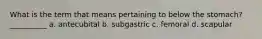 What is the term that means pertaining to below the stomach? __________ a. antecubital b. subgastric c. femoral d. scapular