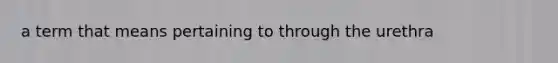 a term that means pertaining to through the urethra