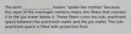 The term ________ _______ means "spider-like mother" because this layer of the meninges contains many thin fibers that connect it to the pia mater below it. These fibers cross the sub- arachnoid space between the arachnoid mater and the pia mater. The sub- arachnoid space is filled with protective fluid.