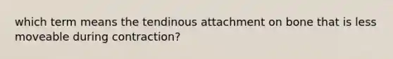 which term means the tendinous attachment on bone that is less moveable during contraction?