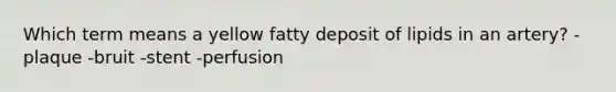 Which term means a yellow fatty deposit of lipids in an artery? -plaque -bruit -stent -perfusion