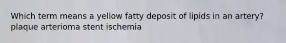 Which term means a yellow fatty deposit of lipids in an artery? plaque arterioma stent ischemia