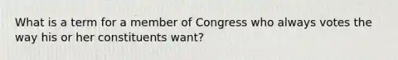 What is a term for a member of Congress who always votes the way his or her constituents want?