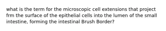 what is the term for the microscopic cell extensions that project frm the surface of the epithelial cells into the lumen of <a href='https://www.questionai.com/knowledge/kt623fh5xn-the-small-intestine' class='anchor-knowledge'>the small intestine</a>, forming the intestinal Brush Border?