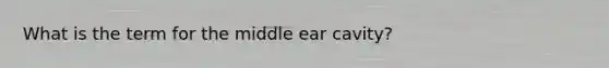 What is the term for the middle ear cavity?