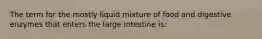 The term for the mostly liquid mixture of food and digestive enzymes that enters the large intestine is: