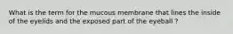 What is the term for the mucous membrane that lines the inside of the eyelids and the exposed part of the eyeball ?