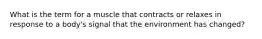 What is the term for a muscle that contracts or relaxes in response to a body's signal that the environment has changed?