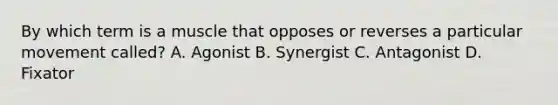 By which term is a muscle that opposes or reverses a particular movement called? A. Agonist B. Synergist C. Antagonist D. Fixator