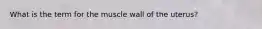 What is the term for the muscle wall of the uterus?