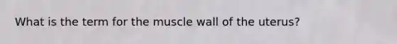 What is the term for the muscle wall of the uterus?