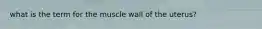 what is the term for the muscle wall of the uterus?