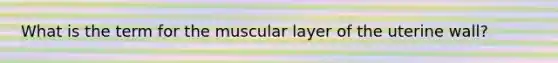 What is the term for the muscular layer of the uterine wall?