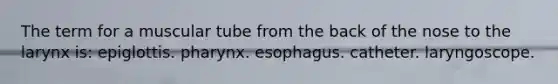 The term for a muscular tube from the back of the nose to the larynx is: epiglottis. pharynx. esophagus. catheter. laryngoscope.