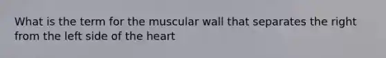 What is the term for the muscular wall that separates the right from the left side of the heart