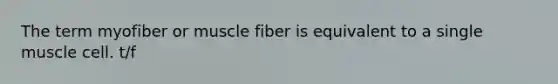 The term myofiber or muscle fiber is equivalent to a single muscle cell. t/f