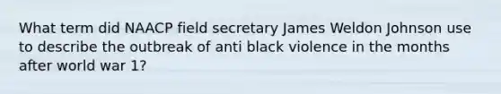 What term did NAACP field secretary James Weldon Johnson use to describe the outbreak of anti black violence in the months after world war 1?