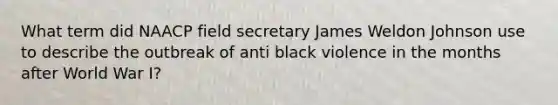 What term did NAACP field secretary James Weldon Johnson use to describe the outbreak of anti black violence in the months after World War I?