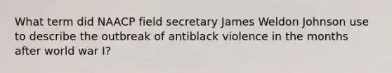 What term did NAACP field secretary James Weldon Johnson use to describe the outbreak of antiblack violence in the months after world war I?