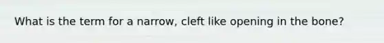 What is the term for a narrow, cleft like opening in the bone?