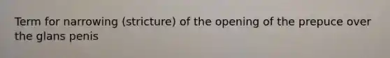 Term for narrowing (stricture) of the opening of the prepuce over the glans penis