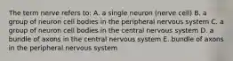 The term nerve refers to: A. a single neuron (nerve cell) B. a group of neuron cell bodies in the peripheral nervous system C. a group of neuron cell bodies in the central nervous system D. a bundle of axons in the central nervous system E. bundle of axons in the peripheral nervous system