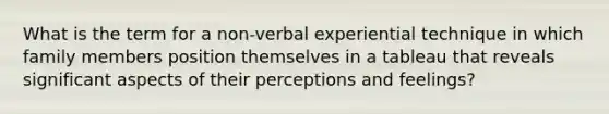 What is the term for a non-verbal experiential technique in which family members position themselves in a tableau that reveals significant aspects of their perceptions and feelings?