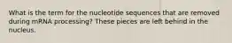 What is the term for the nucleotide sequences that are removed during mRNA processing? These pieces are left behind in the nucleus.