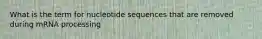What is the term for nucleotide sequences that are removed during mRNA processing