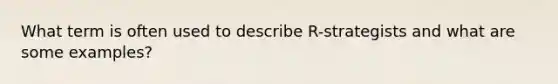 What term is often used to describe R-strategists and what are some examples?