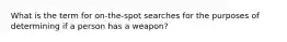 What is the term for on-the-spot searches for the purposes of determining if a person has a weapon?