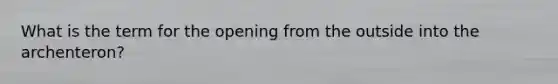 What is the term for the opening from the outside into the archenteron?