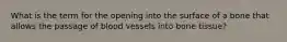 What is the term for the opening into the surface of a bone that allows the passage of blood vessels into bone tissue?