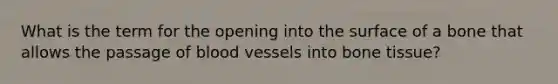 What is the term for the opening into the surface of a bone that allows the passage of blood vessels into bone tissue?