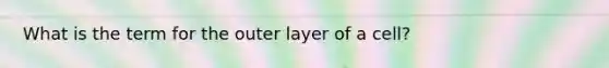 What is the term for the outer layer of a cell?