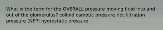 What is the term for the OVERALL pressure moving fluid into and out of the glomerulus? colloid osmotic pressure net filtration pressure (NFP) hydrostatic pressure