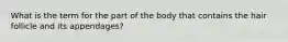 What is the term for the part of the body that contains the hair follicle and its appendages?