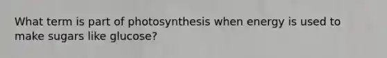 What term is part of photosynthesis when energy is used to make sugars like glucose?